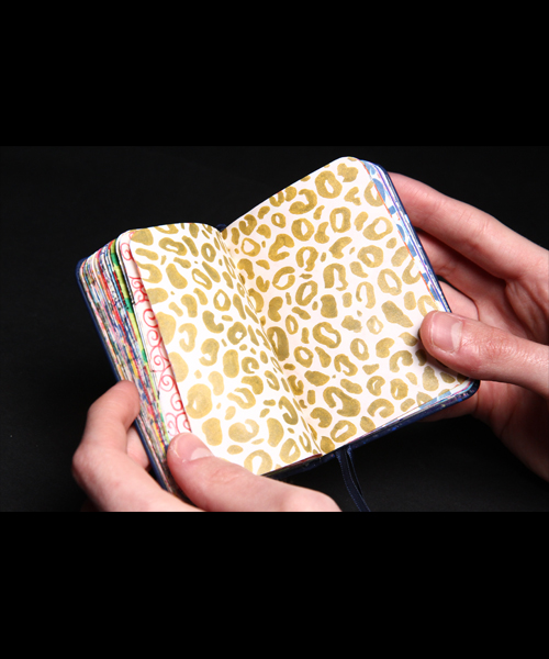 Photo d'une double page du carnet